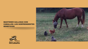 Mantener gallinas con caballos: los sorprendentes beneficios